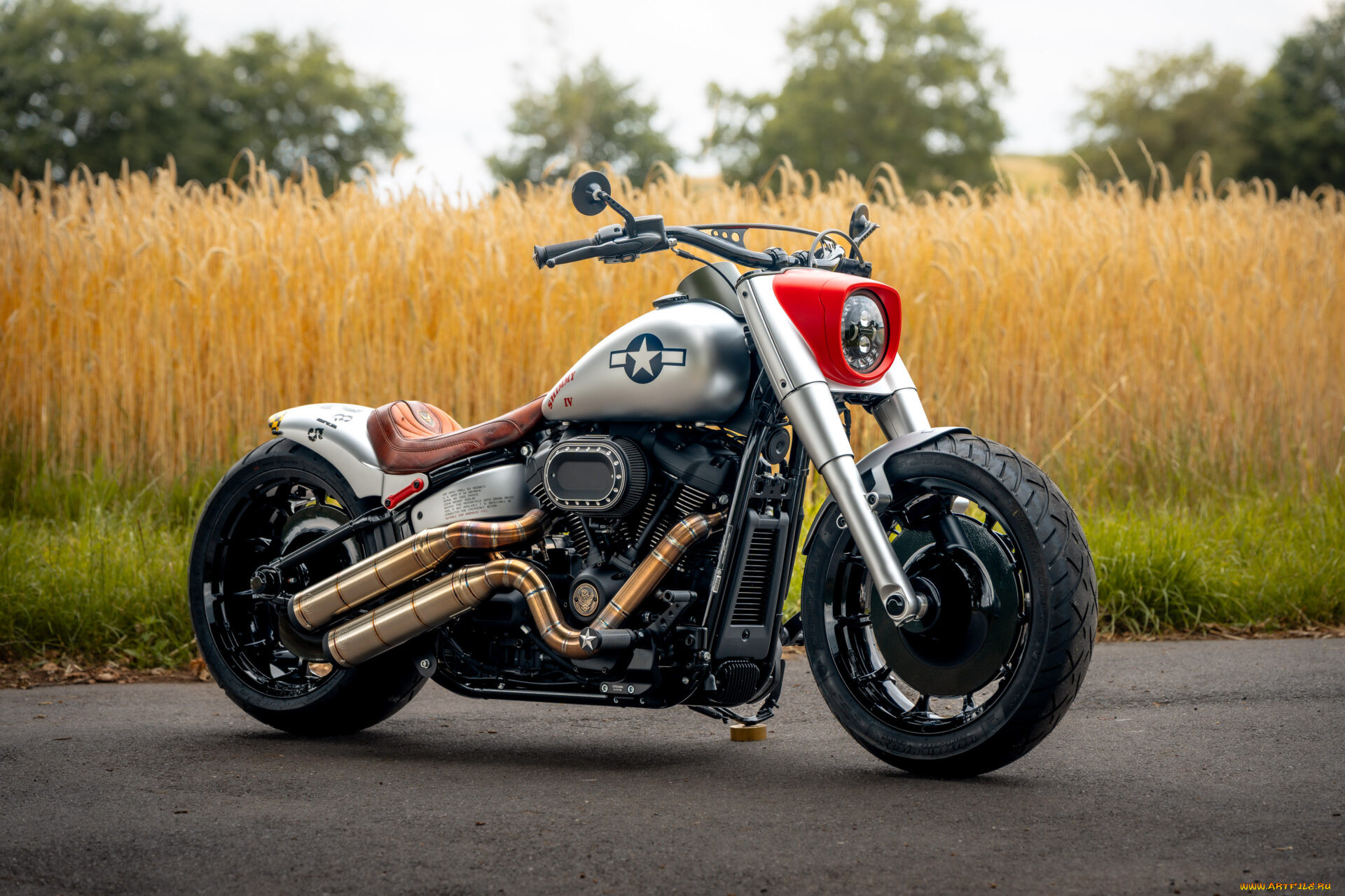 , harley-davidson, softail, fat, boy, 117, customized, custombikes, shimmy, iv